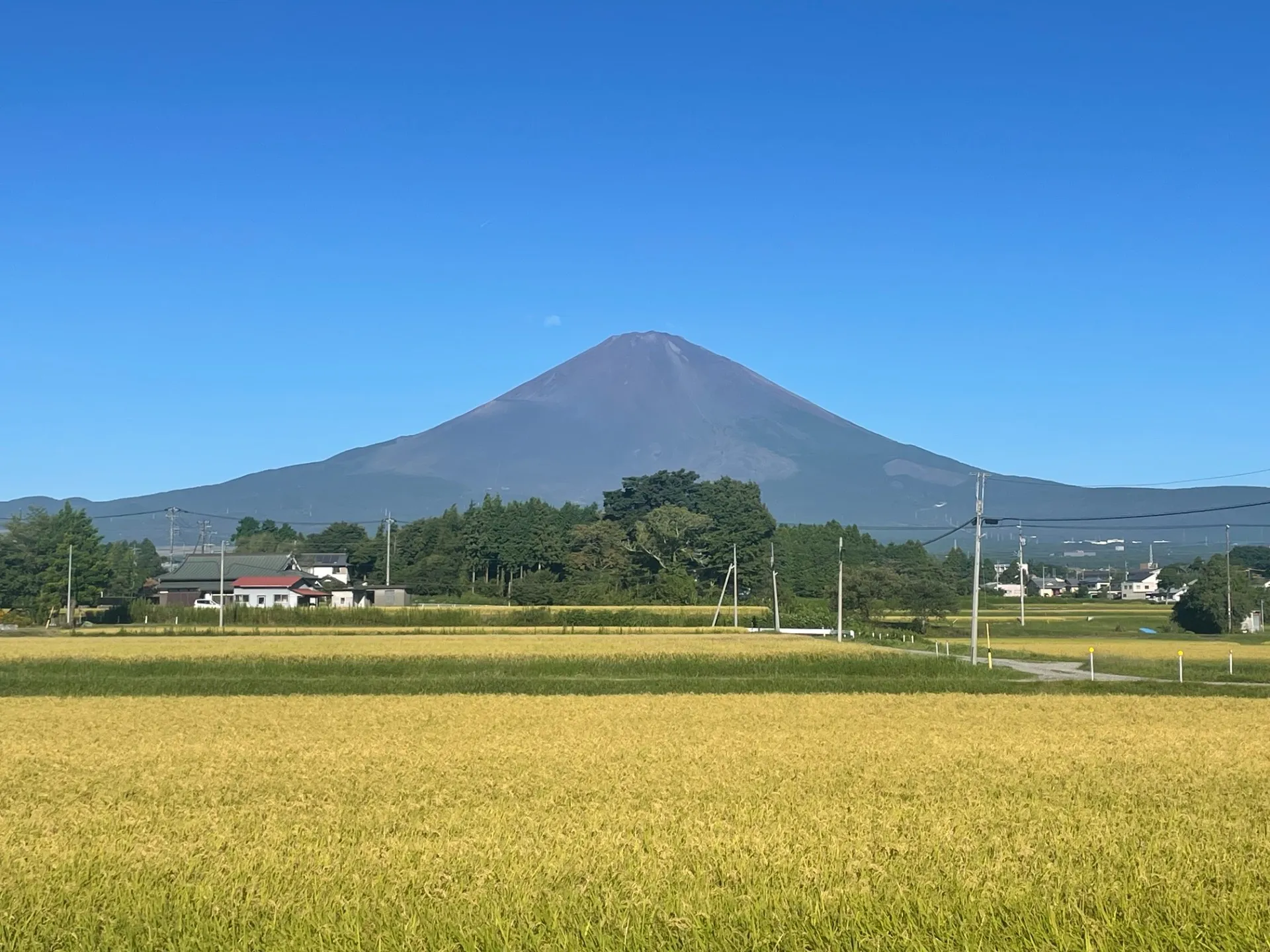 有限会社高根不動産