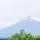 アクセス